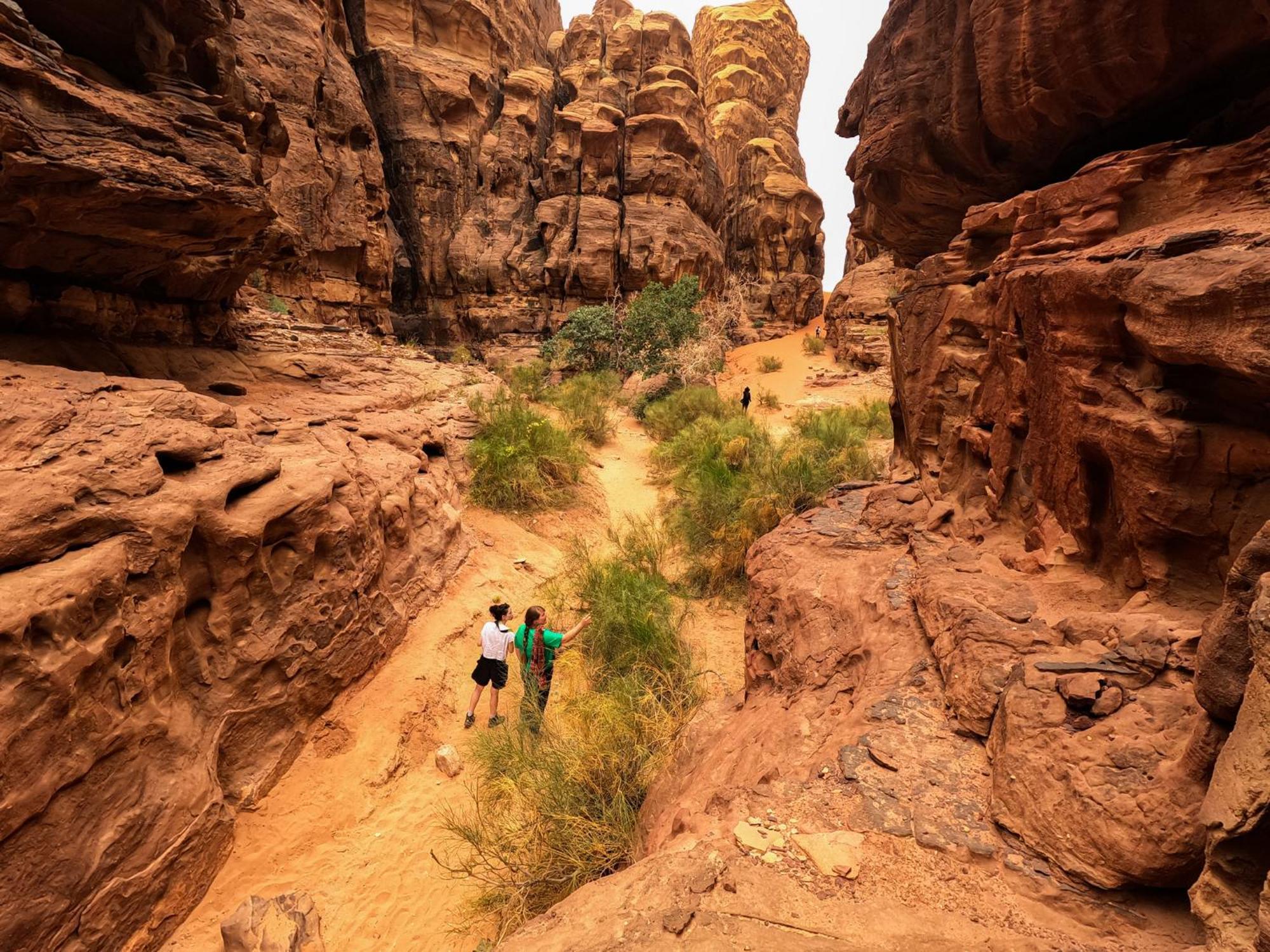 Stargazing Camp & Tours Wadi Rum Exterior foto