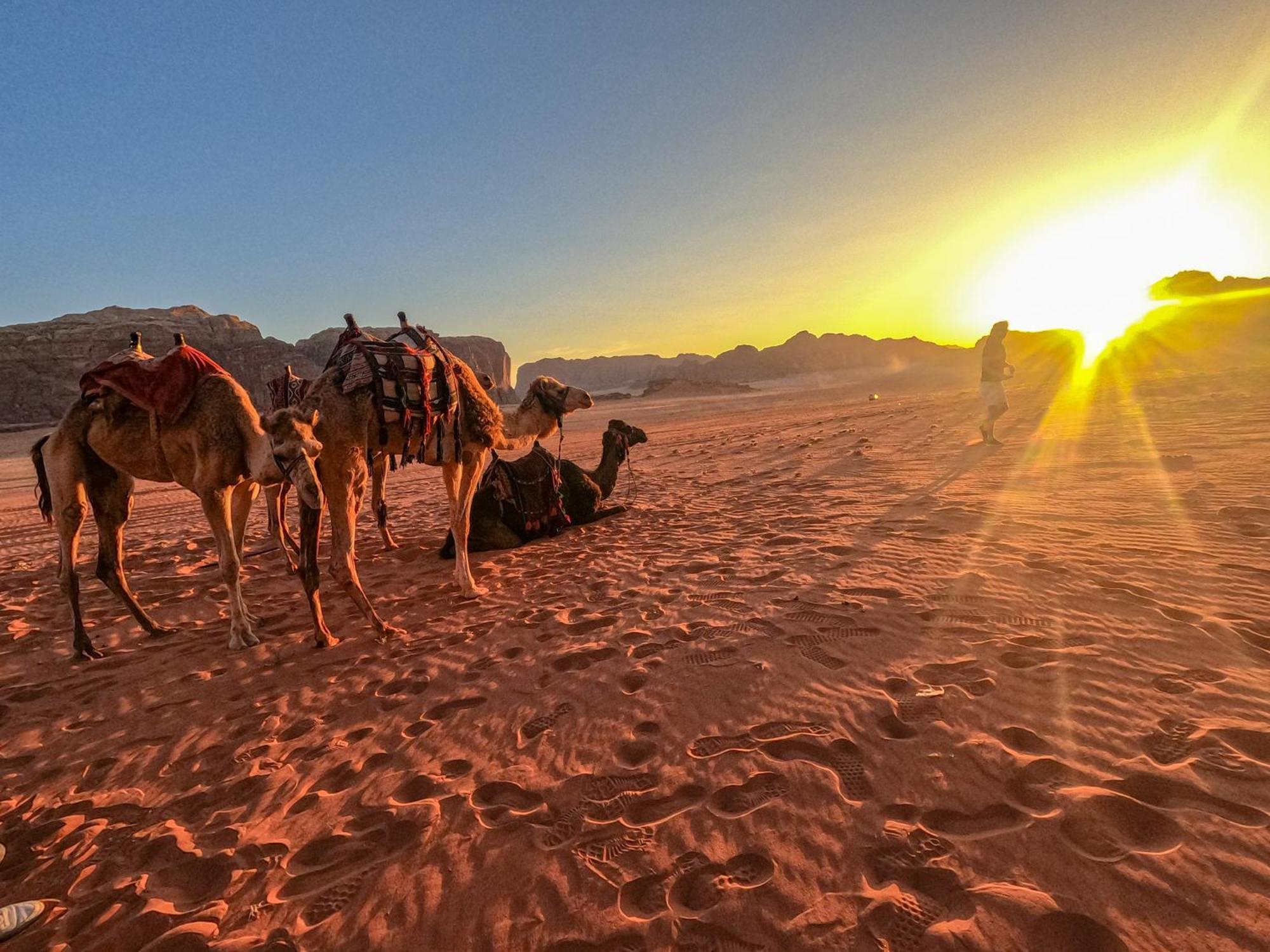Stargazing Camp & Tours Wadi Rum Exterior foto