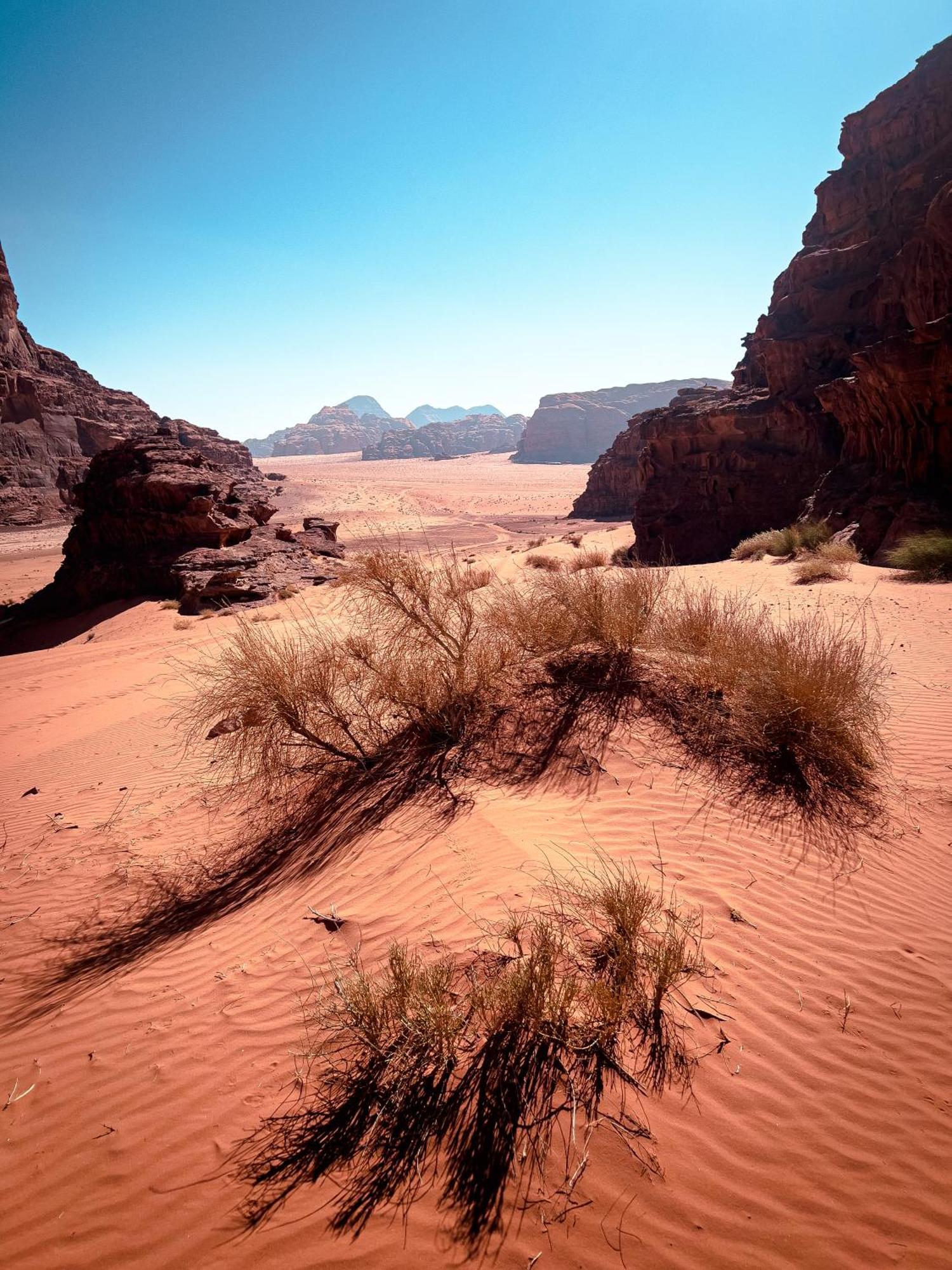 Stargazing Camp & Tours Wadi Rum Exterior foto