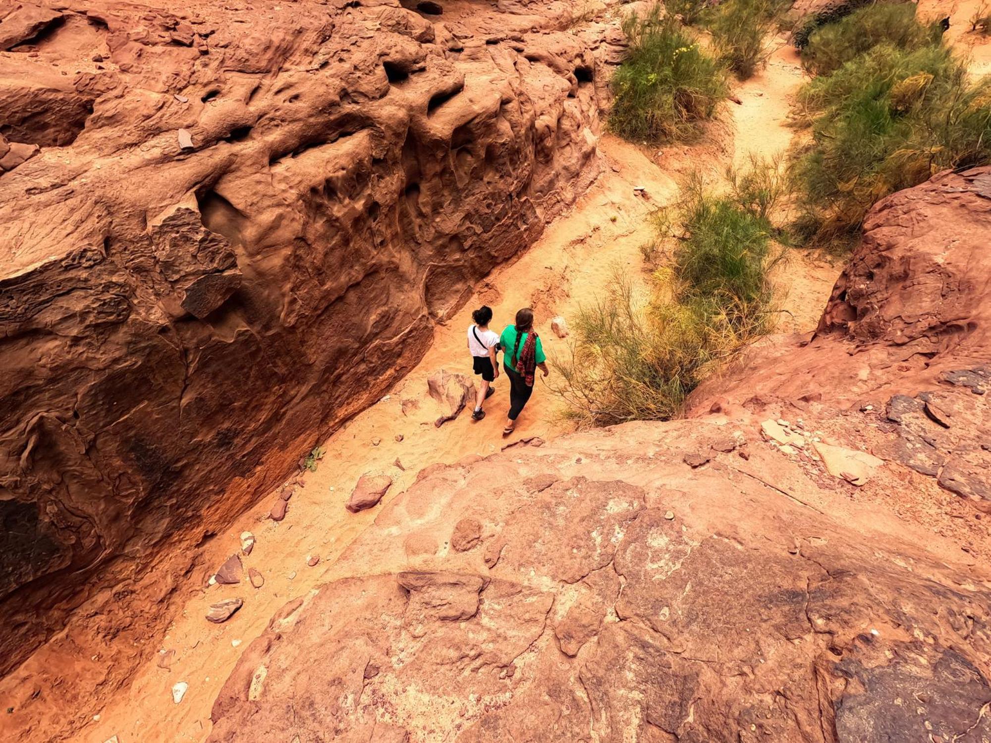 Stargazing Camp & Tours Wadi Rum Exterior foto