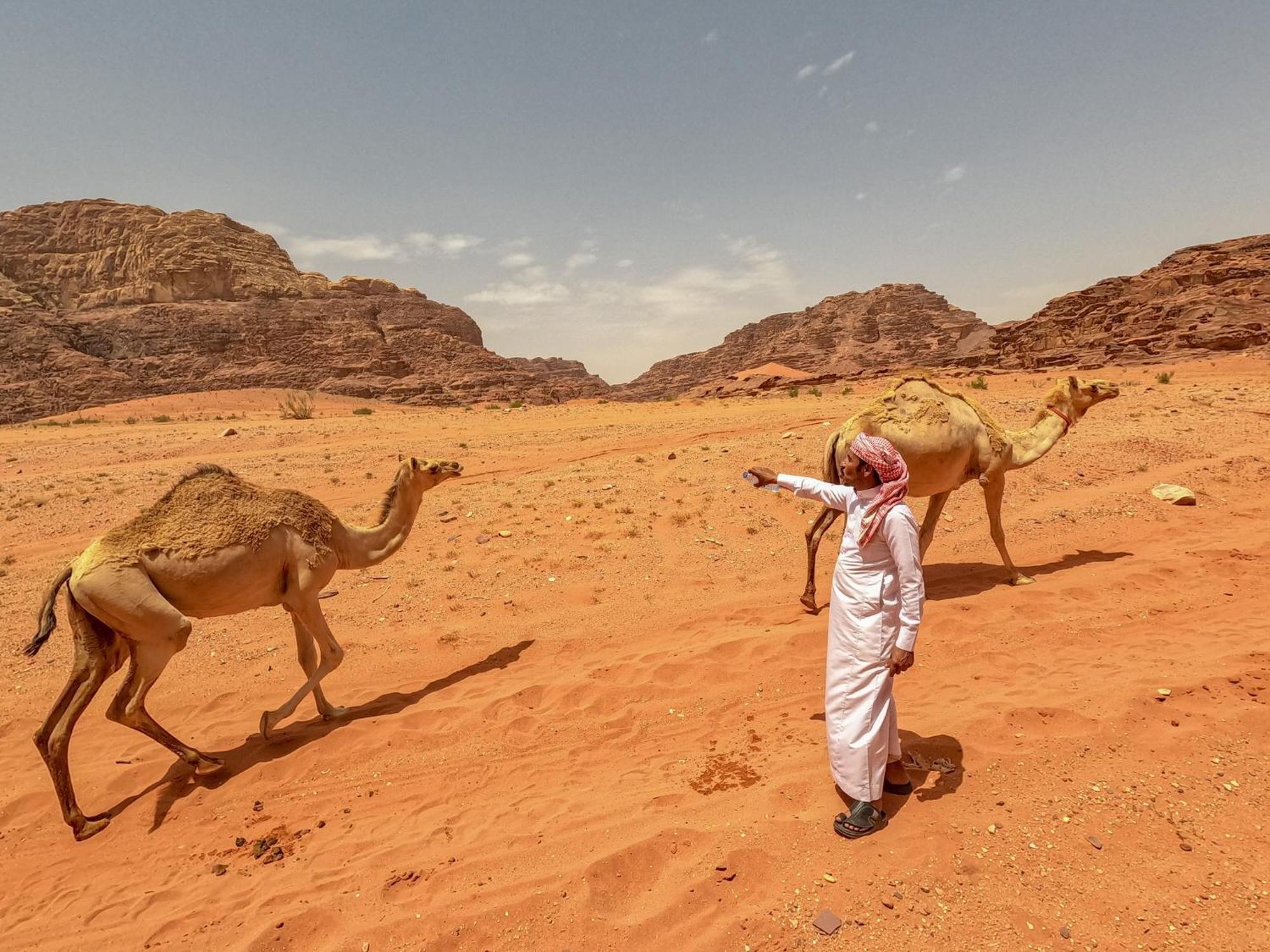 Stargazing Camp & Tours Wadi Rum Exterior foto